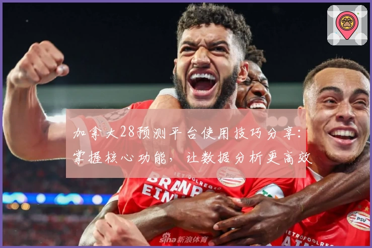 加拿大28预测平台使用技巧分享：掌握核心功能，让数据分析更高效