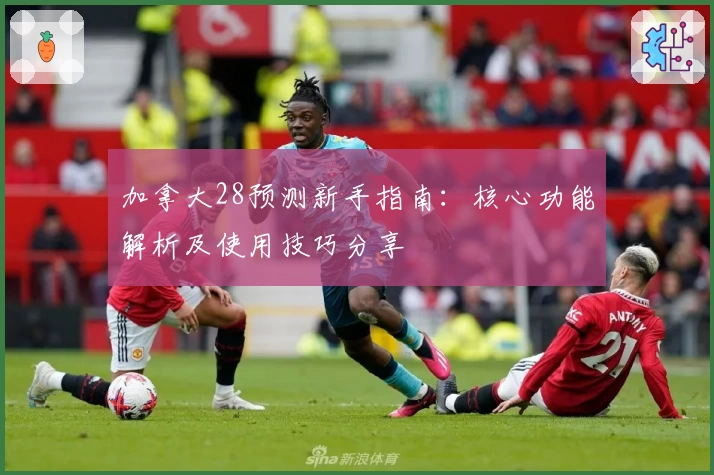 加拿大28预测新手指南：核心功能解析及使用技巧分享