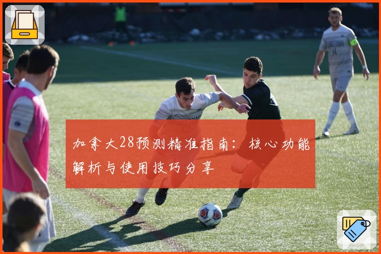 加拿大28预测精准指南：核心功能解析与使用技巧分享