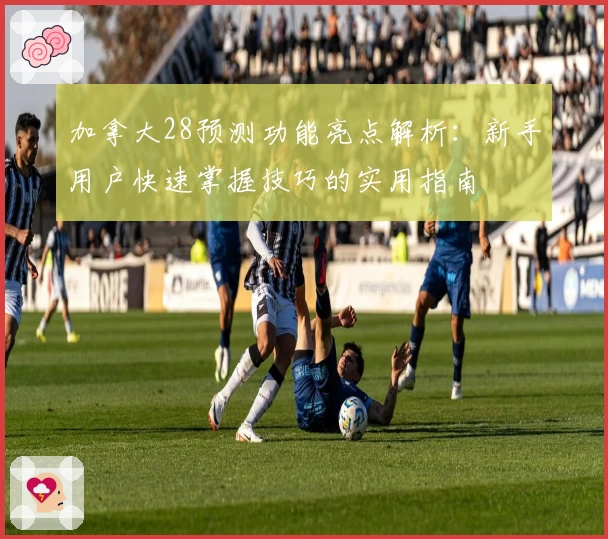 加拿大28预测功能亮点解析：新手用户快速掌握技巧的实用指南