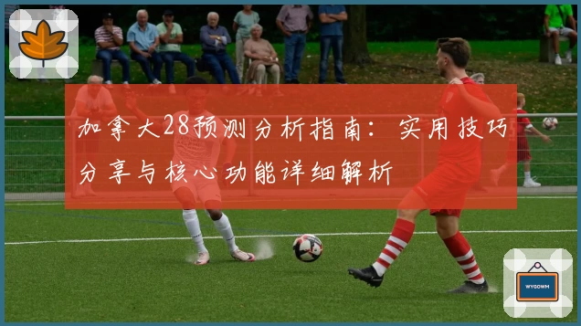 加拿大28预测分析指南：实用技巧分享与核心功能详细解析