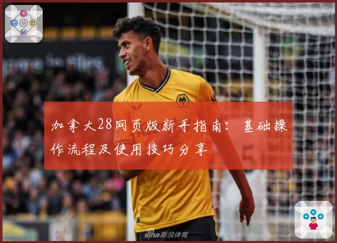 加拿大28网页版新手指南：基础操作流程及使用技巧分享