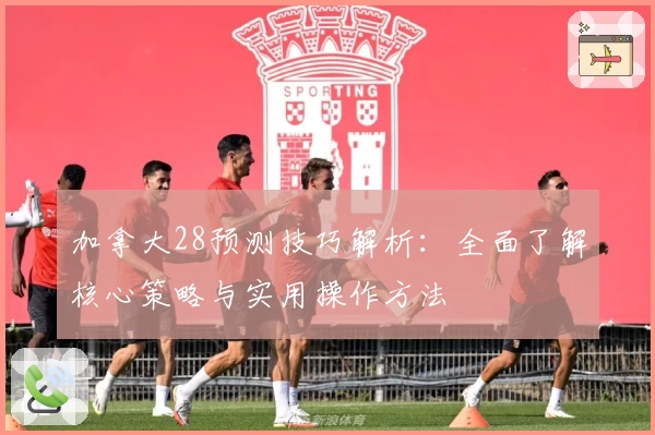 加拿大28预测技巧解析：全面了解核心策略与实用操作方法