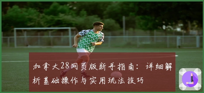 加拿大28网页版新手指南：详细解析基础操作与实用玩法技巧