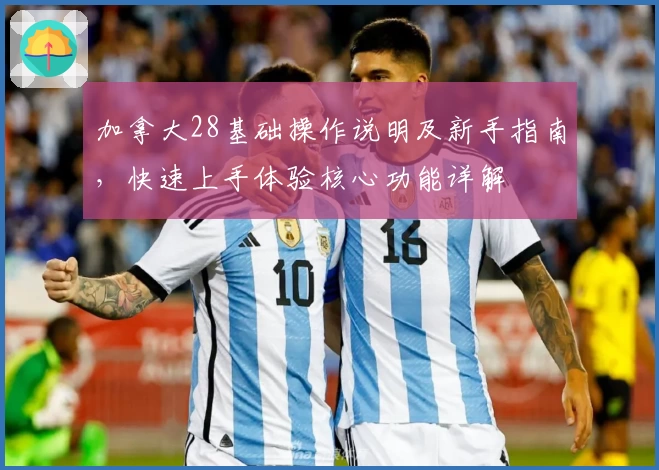 加拿大28基础操作说明及新手指南，快速上手体验核心功能详解