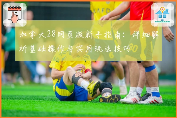 加拿大28网页版新手指南：详细解析基础操作与实用玩法技巧