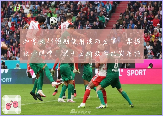 加拿大28预测使用技巧分享：掌握核心规律，提升分析效率的实用指南